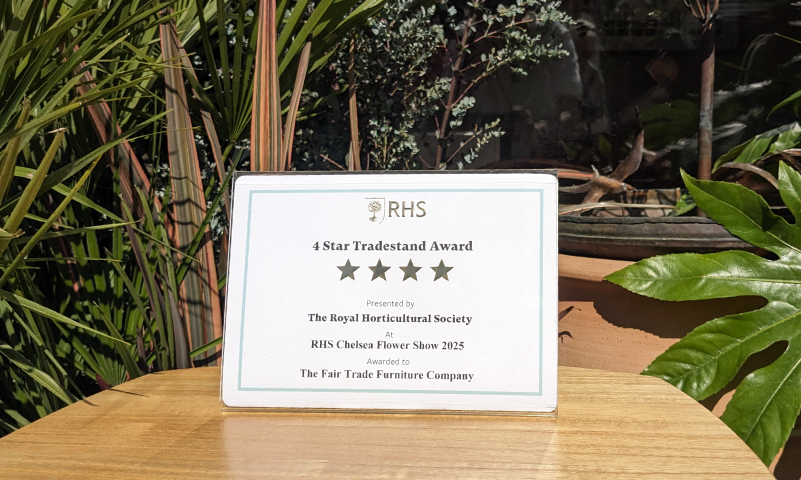 4 star award certificate from RHS Chelsea