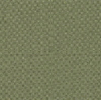 Agora Panama Green