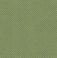 Panama Grass
